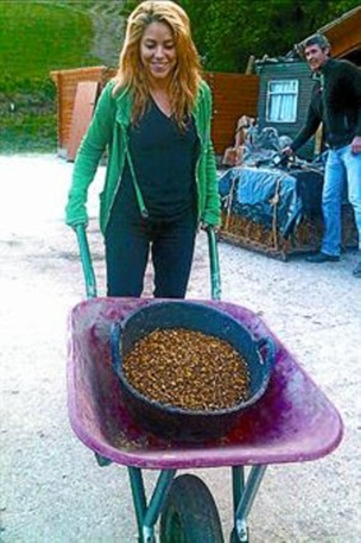Shakira visita Ripoll i exerceix de pagesa en una finca de la zona_MEDIA_1 Shakira visita Ripoll i exerceix de pagesa en una finca de la zona_MEDIA_1