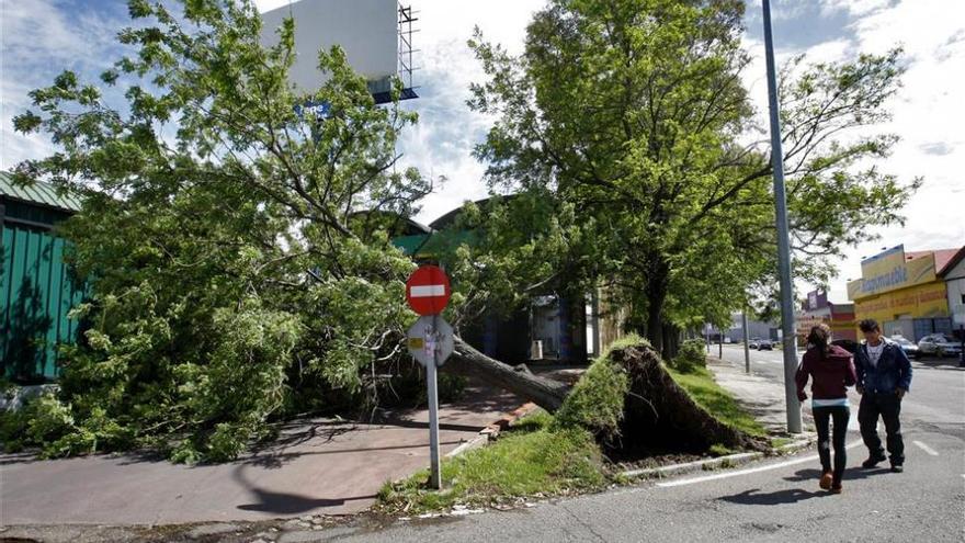 Los bomberos reciben 23 avisos en una hora por la tormenta