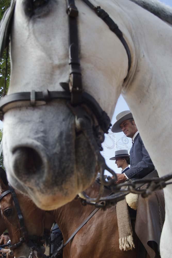 Sábado de feria y de despedidas de soltero