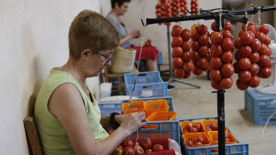 Inselspezialität: Was die Mallorca-Tomate &quot;Ramallet&quot; so besonders macht