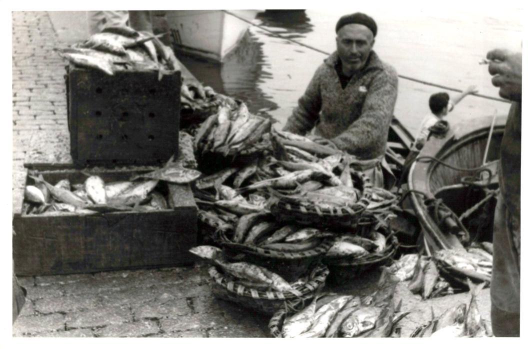 Descara de jurel en el puerto vigués