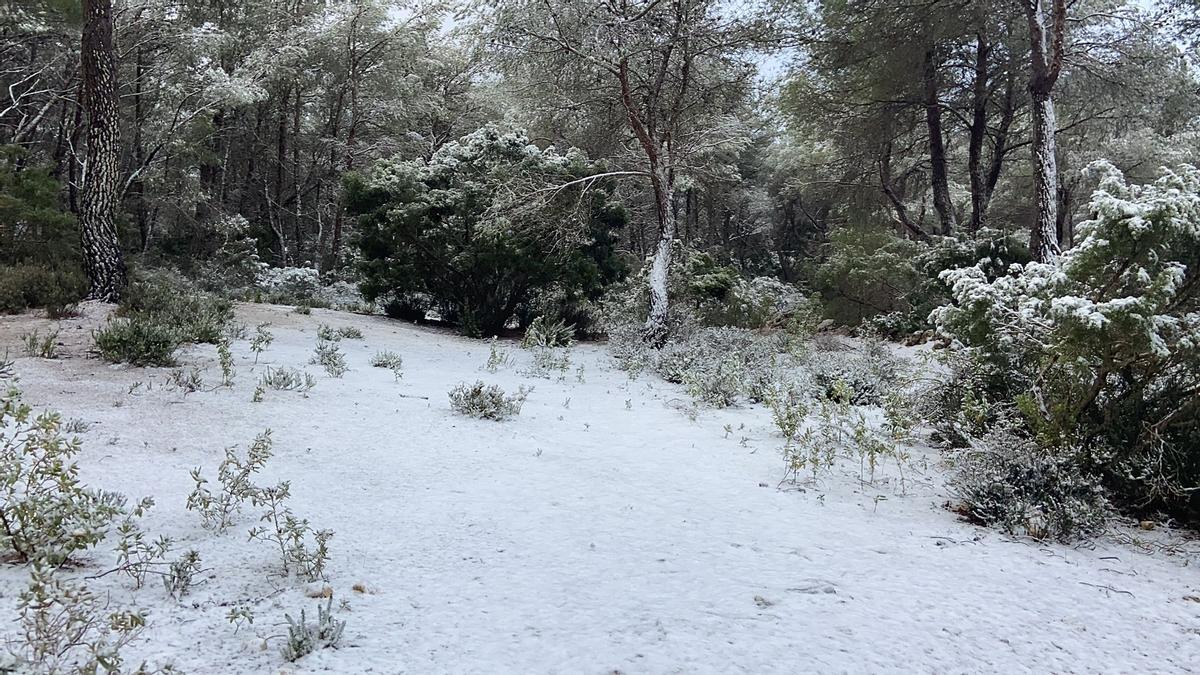 Bajada de temperaturas en Ibiza: Una manta de granizo cubre Siesta