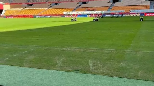 El preocupante estado del cesped de La Cartuja
