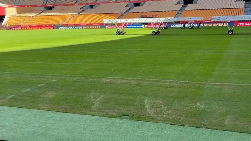 El preocupante estado del cesped de La Cartuja