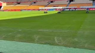 El preocupante estado del cesped de La Cartuja