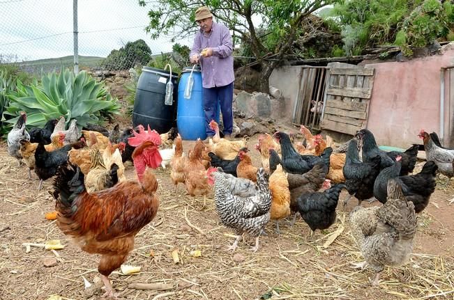 Pepe Guedes, agricultor orgánico