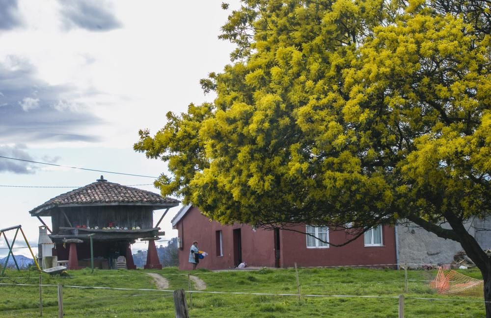 El sol apacigua el temporal en Asturias