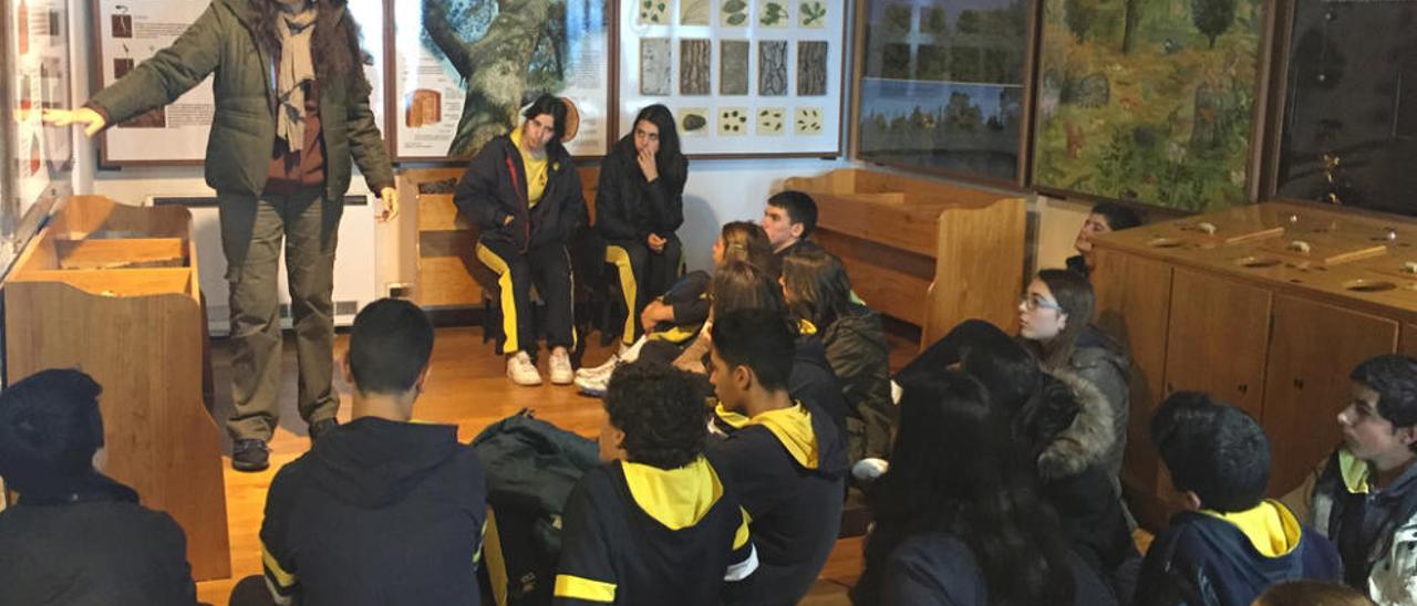 Imagen de la visita de los alumnos del colegio Lar al monte Aloia