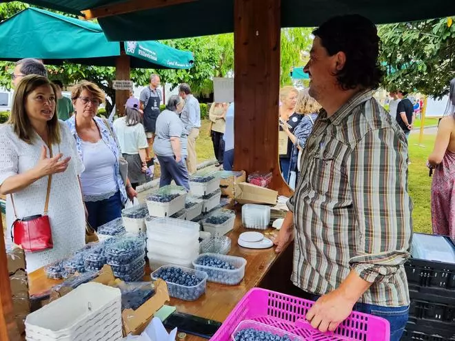 Villaviciosa, capital del arándano y los frutos rojos: así está siendo el festival maliayés