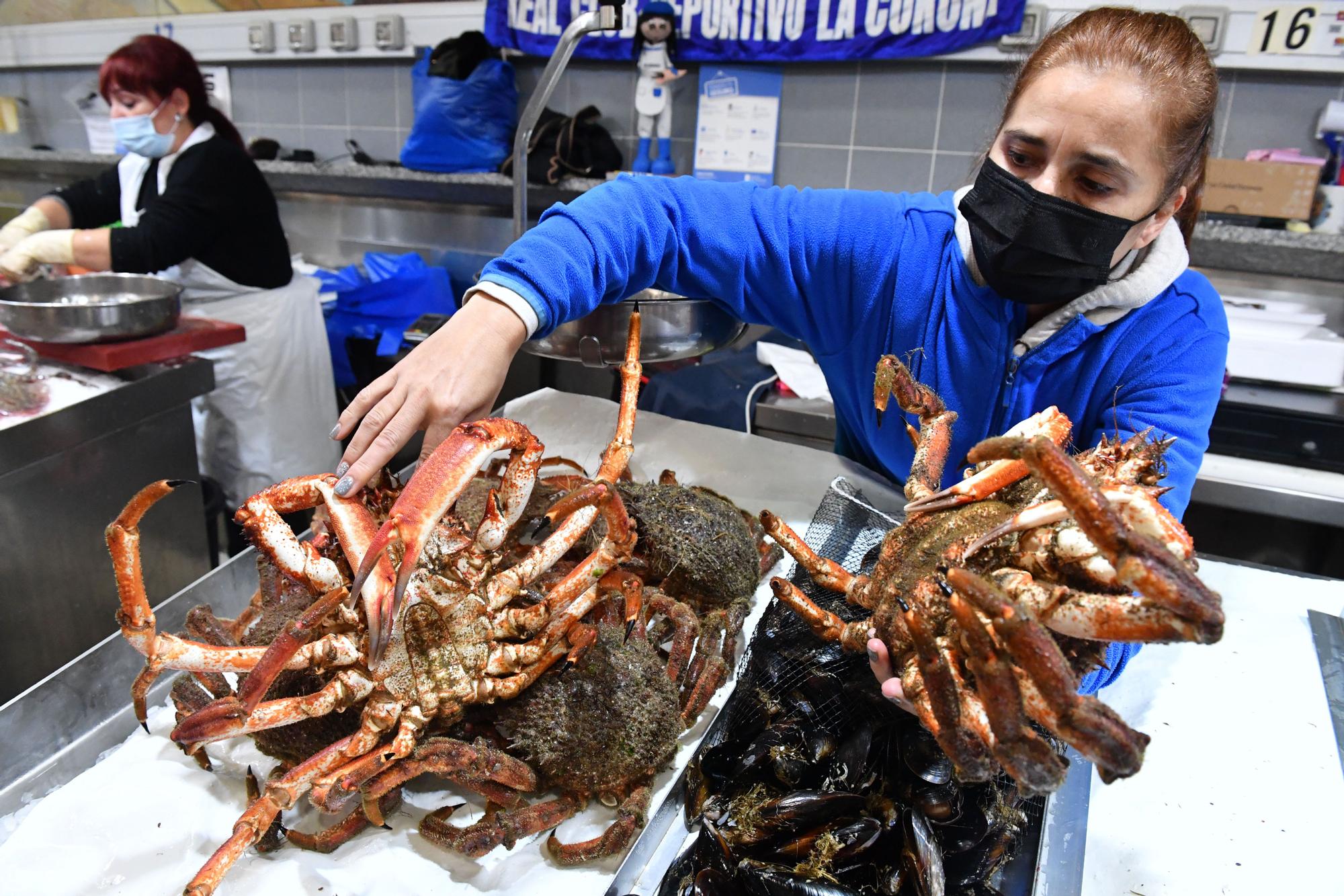 Abierta la veda de la centolla en Galicia