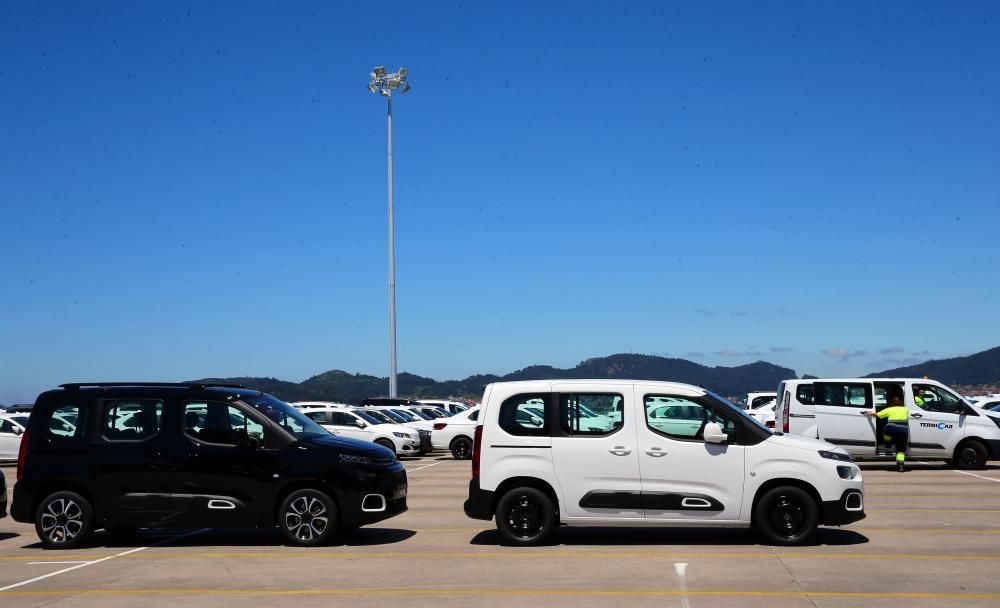 Los vehículos, en la terminal de Bouzas // Marta G. Brea