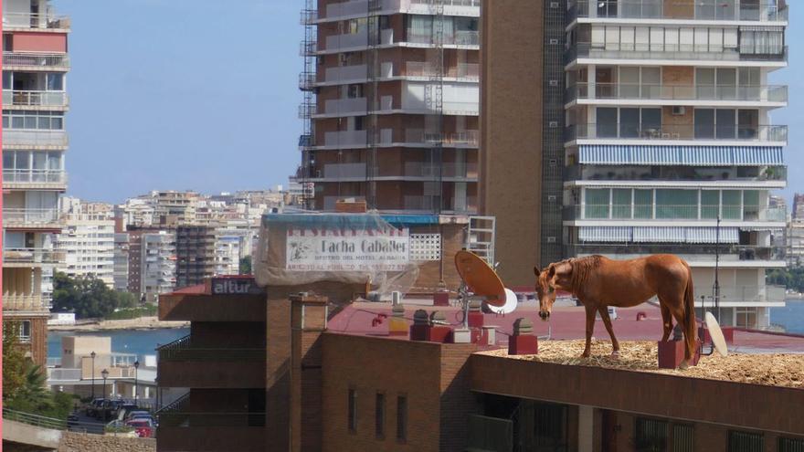 Una nueva mirada al espacio público de Alicante