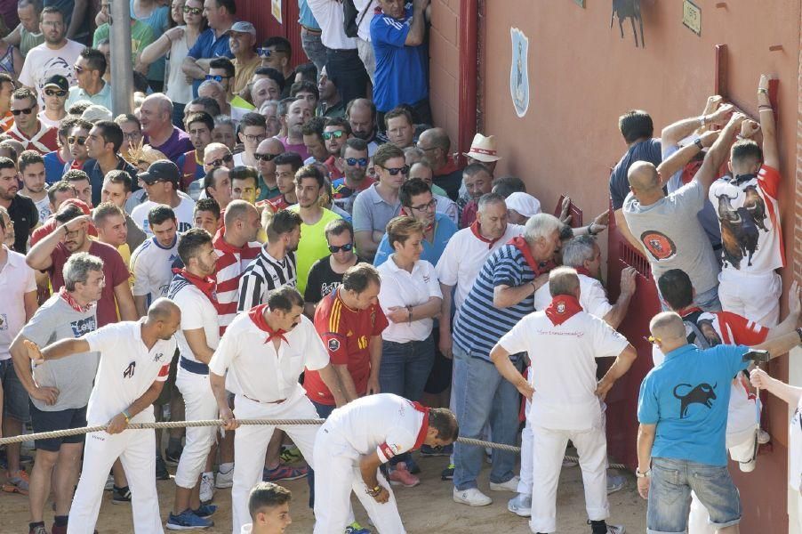 La carrera del Toro Enmaromado 2017 Razonador