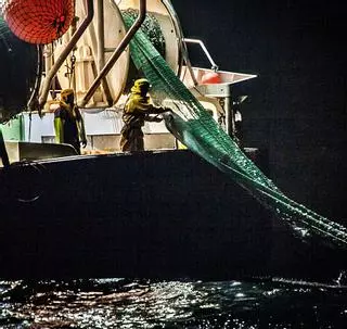 Portugal se une a España y Francia para frenar la pesca accidental de cetáceos