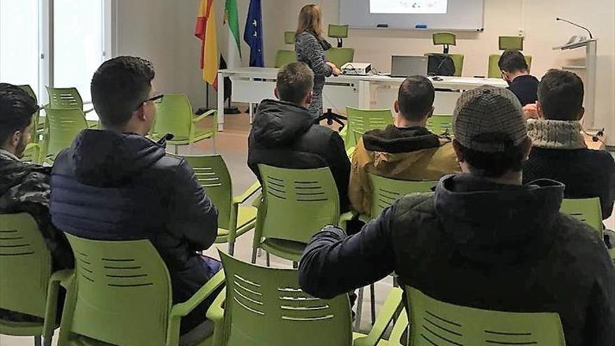 Los jóvenes desempleados podrán aprender los trabajos forestales