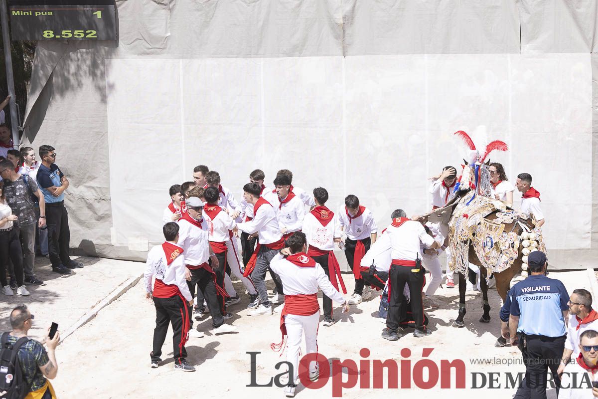 Así se ha vivido la carrera de Los Caballos del Vino en Caravaca