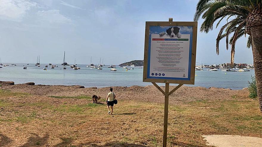 Quejas por el mal estado de la nueva playa para perros en ses Figueres