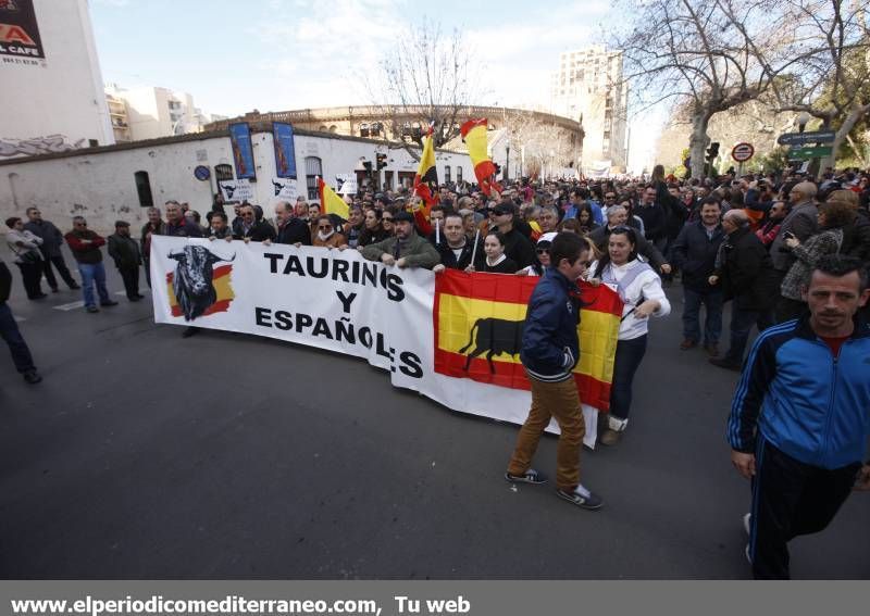 GALERÍA DE FOTOS -- Seguimiento de la manifestación protaurina -- Parte 1