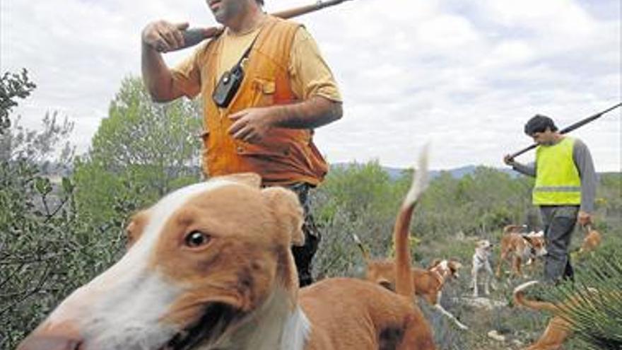 La caza de jabalí y tordo se dilata hasta mediados de febrero