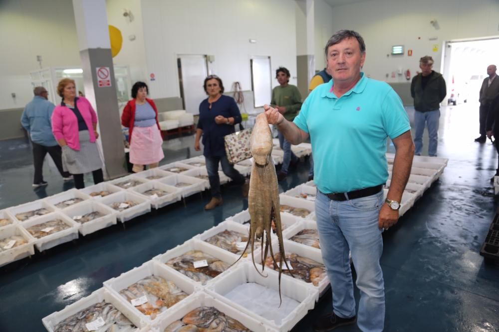 Capturas de bogavante y pulpo en O Grove // Miguel Muñiz