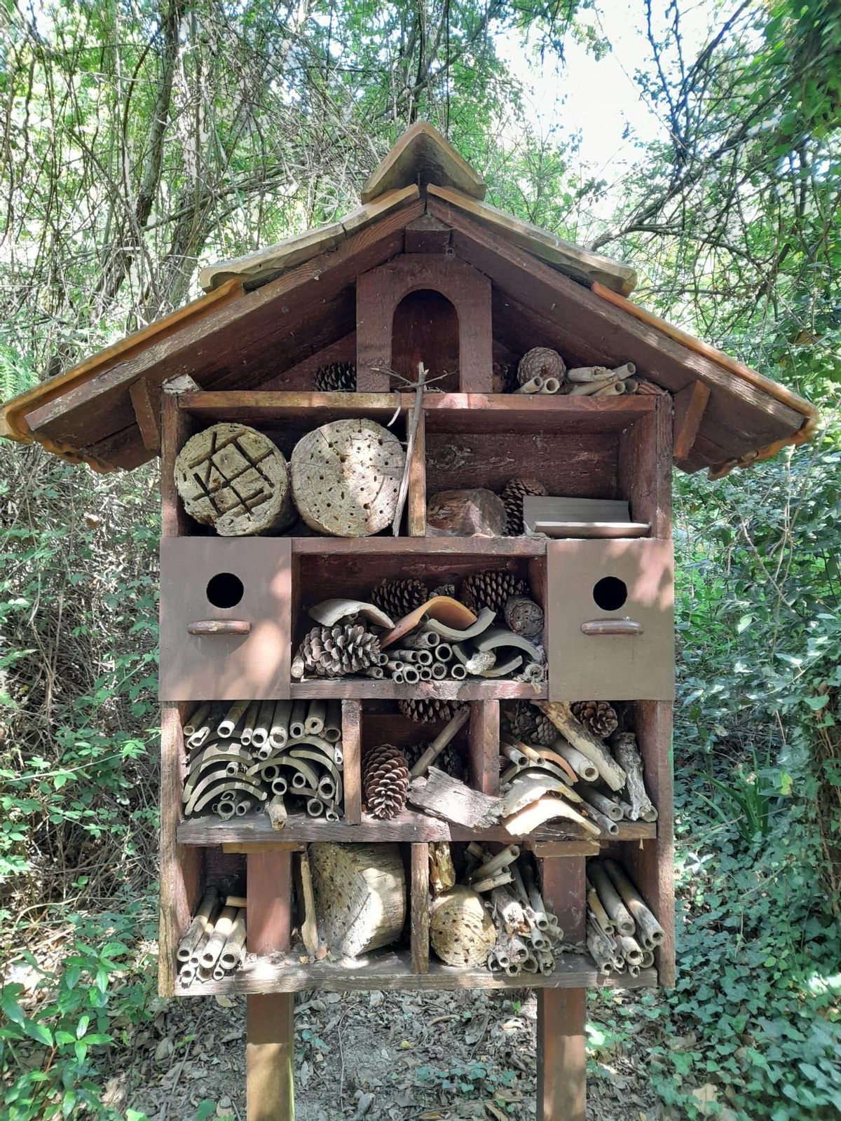 Hotel de insectos.