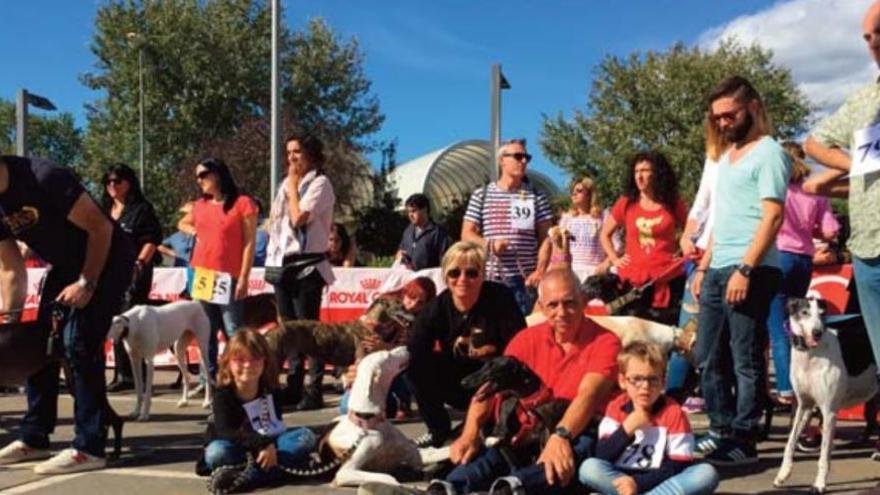 Imatge de la festa anual que Galgos112 va celebrar l&#039;octubre passat a Platja d&#039;Aro