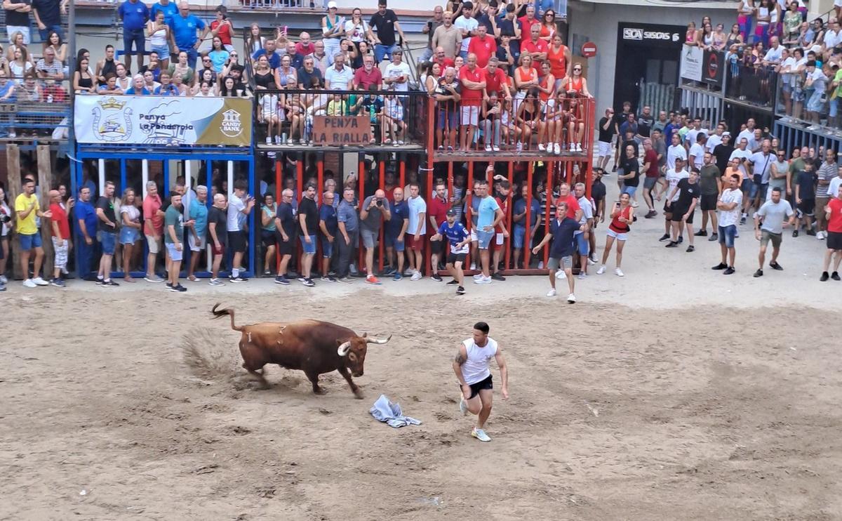 Un ‘rodaor’ esquiva en un quiebro al toro de Peñajara exhibido ayer.