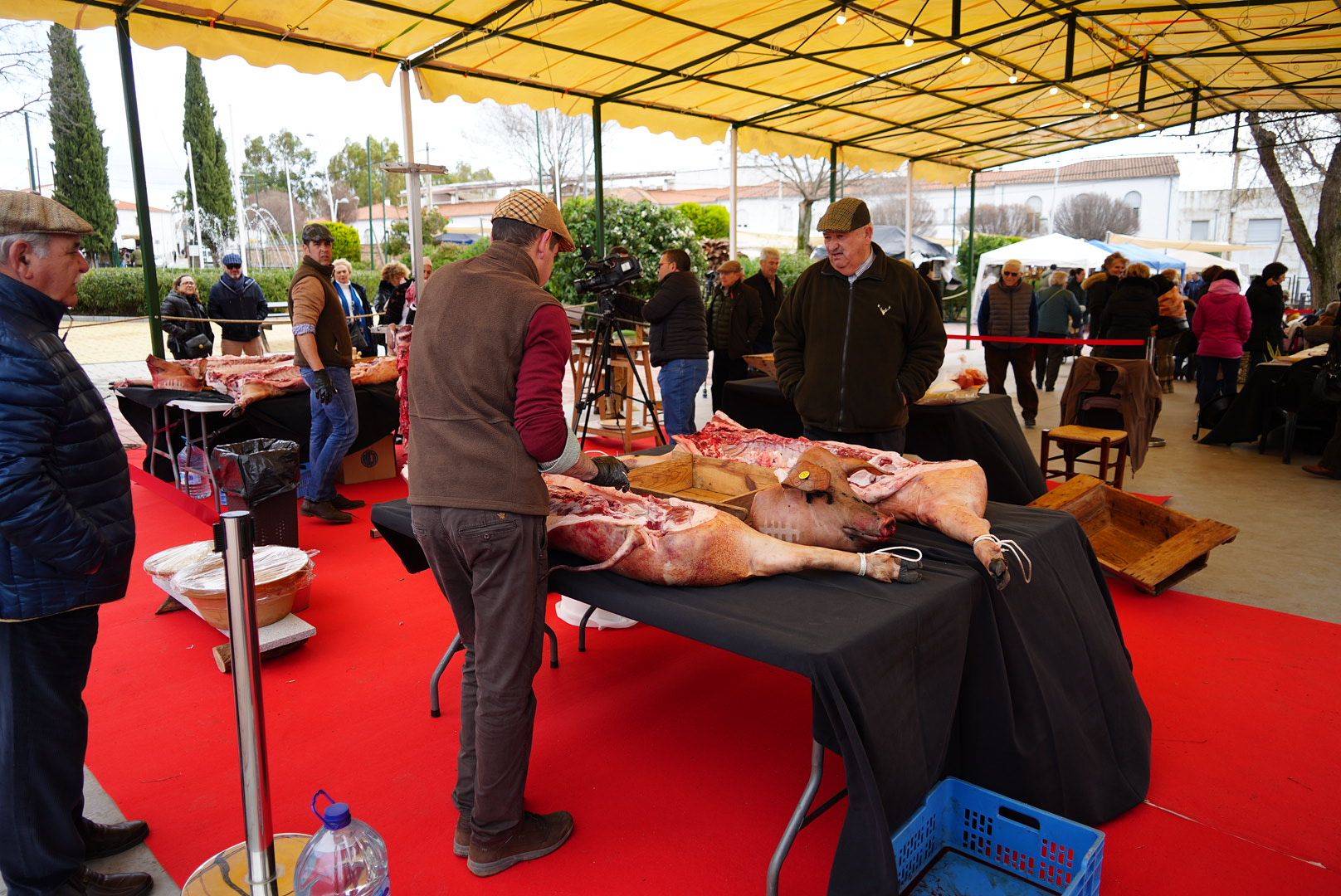 La Fiesta de la Matanza de Villanueva de Córdoba, en imágenes