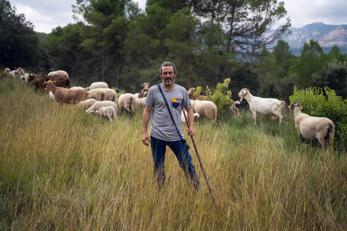 Reatrato del último pastor del parque natural de Sant Llorenç, en la zona de la Mola