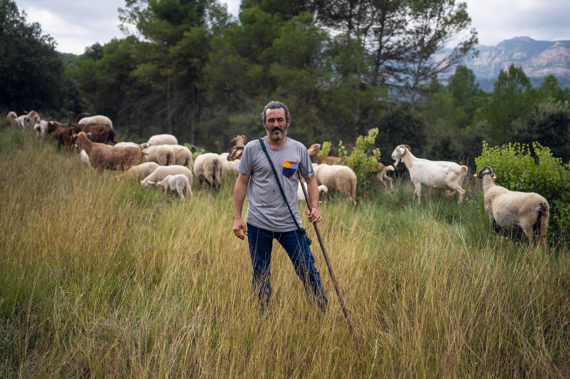 “Me duele dejarlo, pero la montaña ya no es la misma”: habla el último pastor del parque de La Mola