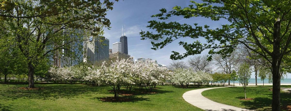 Chicago Park District, Estados Unidos