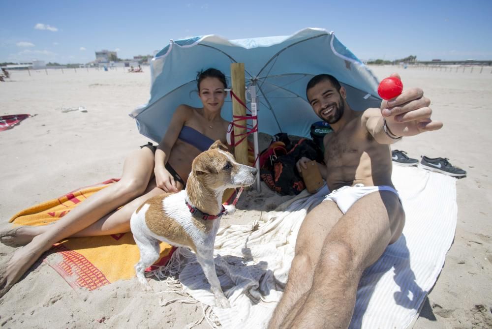 Primer día de la zona para perros en la playa de Pinedo