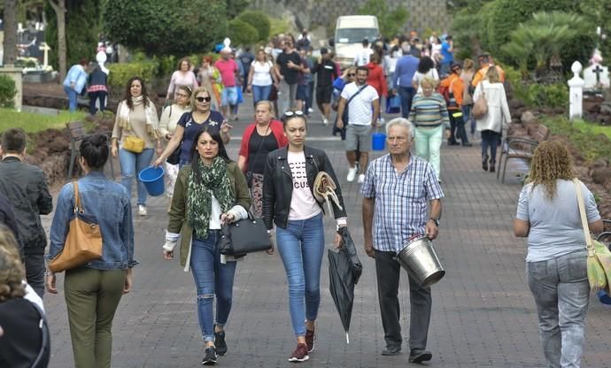 01/11/2018 LAS PALMAS DE GRAN CANARIA. Día de ...