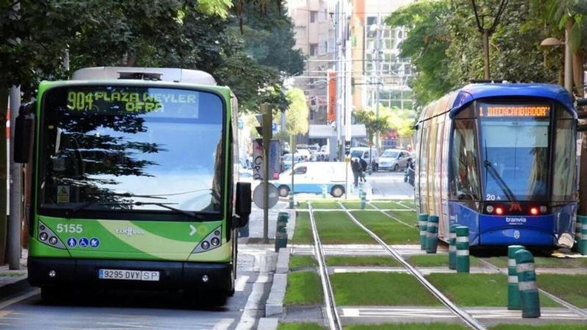 Santa Cruz reorganiza el transporte público por la visita del papa León XIV