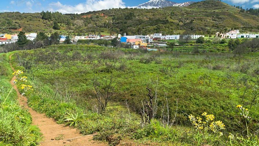 La Laguna, el agua con que has de regar no la dejes correr