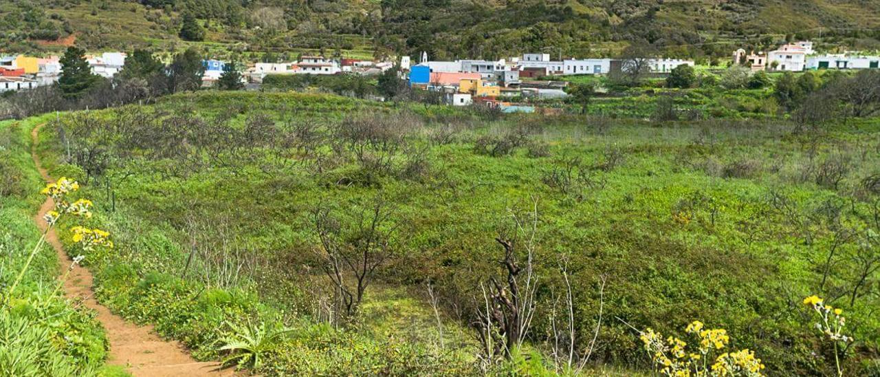 Monte del agua.