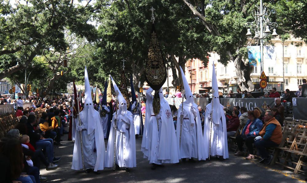 Domingo de Resurrección | Resucitado