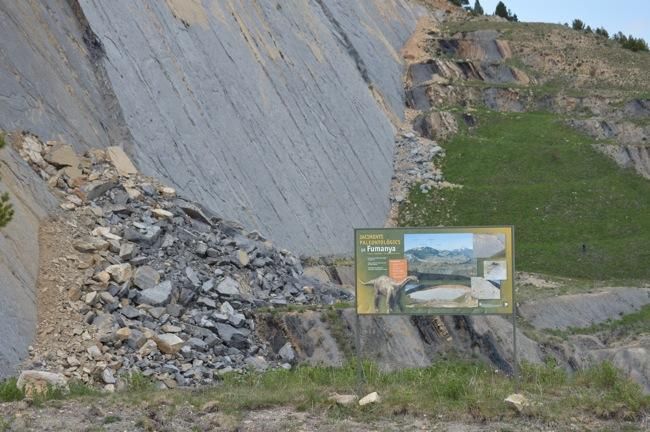 Una esllevissada destrossa les petjades de Fumanya