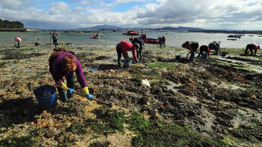 Mariscadoras faenando en una de las playas de A Illa afectada por la presencia de furtivos en las últimas semanas. // Iñaki Abella