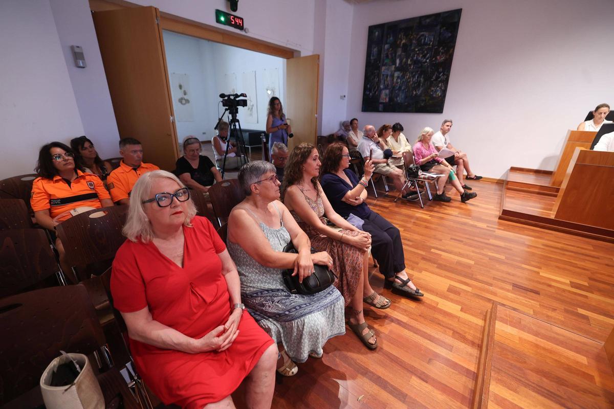 Galería: las imágenes del pleno del Ayuntamiento de Ibiza