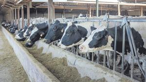 Càrtels: Envoltats d’aliances il·lícites