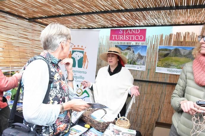 Fiestas del Almendro en Flor en Valsequillo: Día del Turista en Tenteniguada