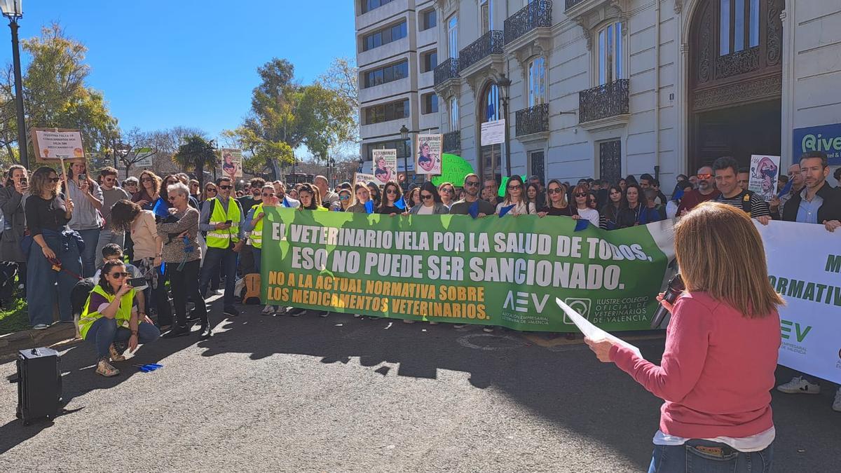 Protesta de los veterinarios en València, frente a Delegación del Gobierno.