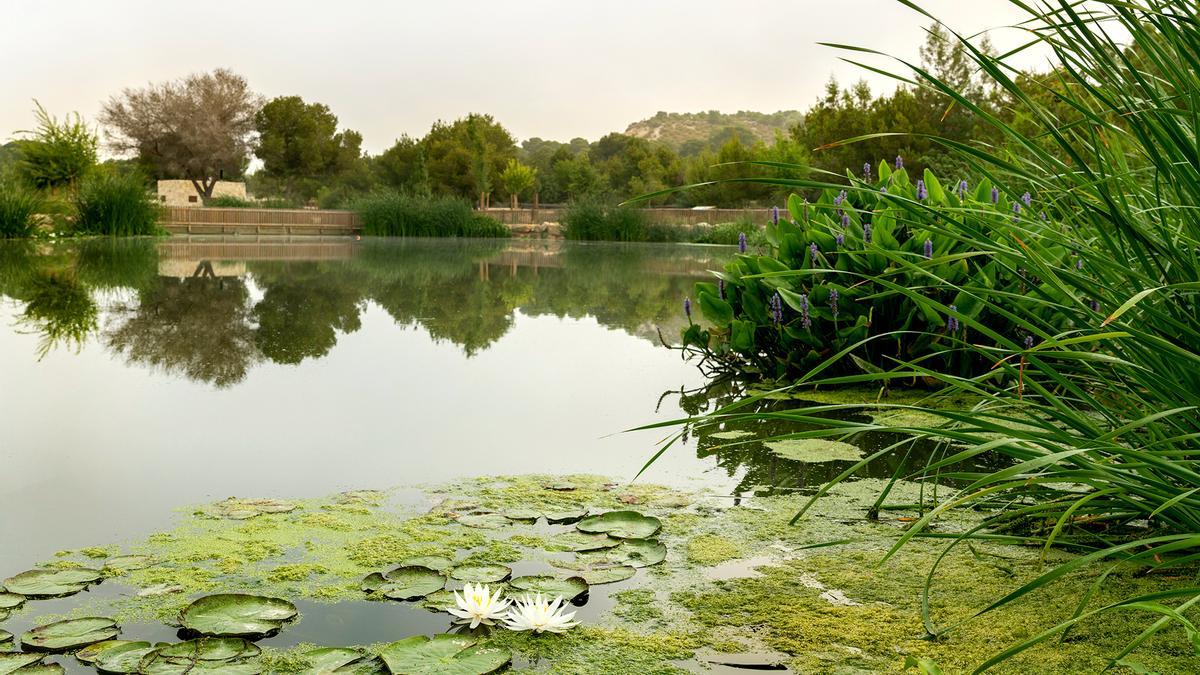 Parque El Recorral en Rojales (Alicante), ejemplo de infraestructura verde urbana.