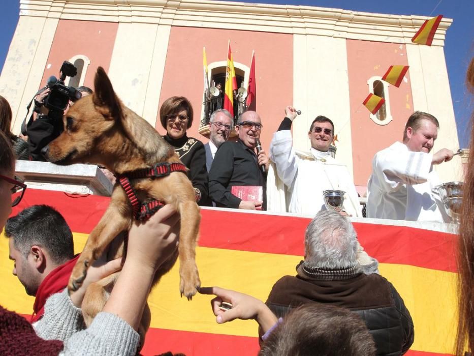 Los vecinos de Cartagena se han acercado junto a sus mascotas a recibir la bendición