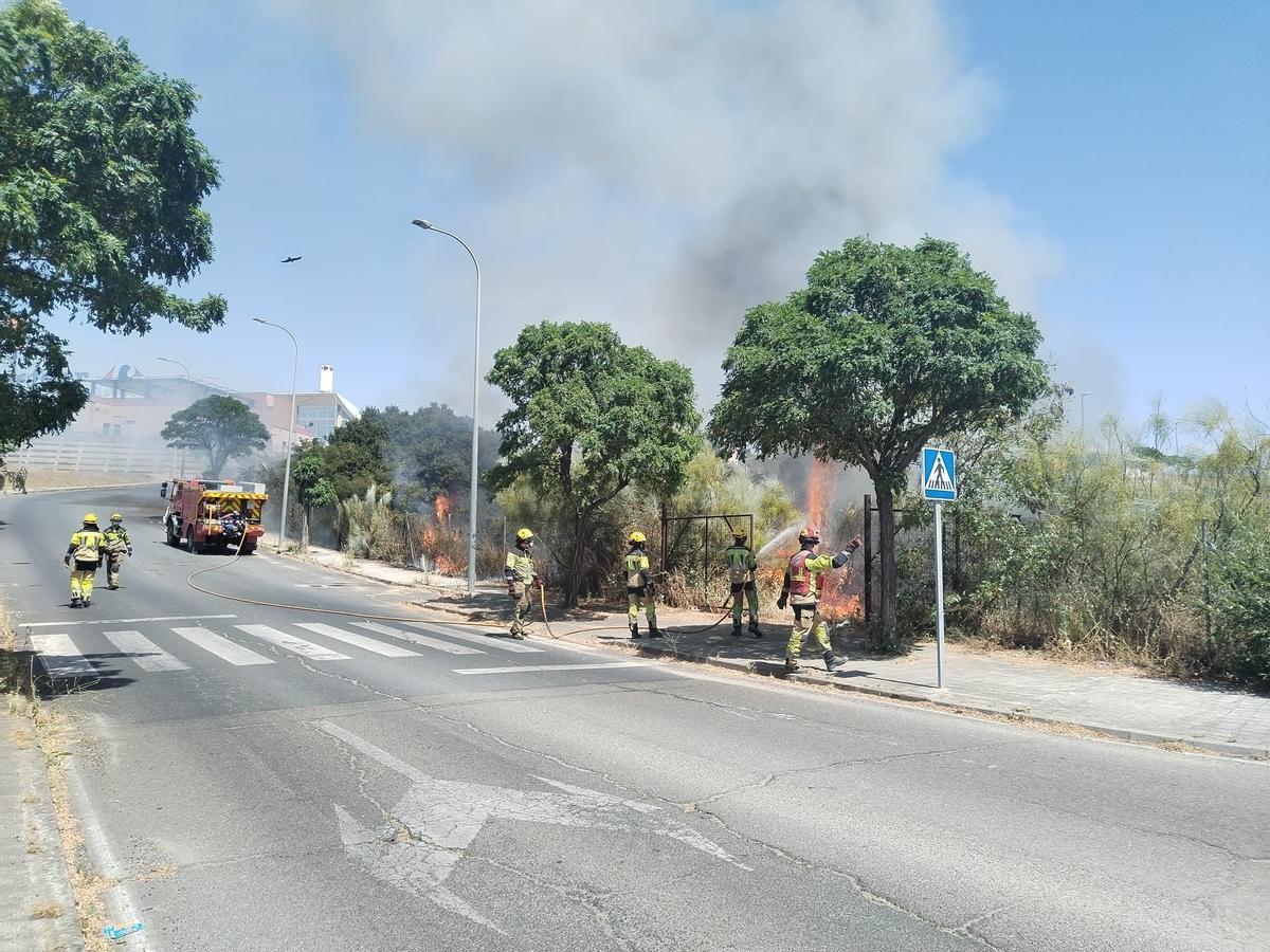 Fotogalería | Incendio de pastos en Plasencia