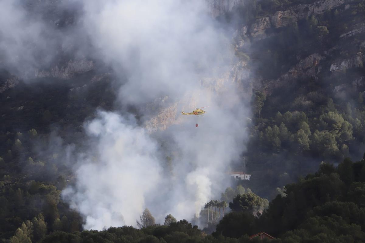 Un incendio forestal en Alzira amenza la Murta y dos centenares de viviendas