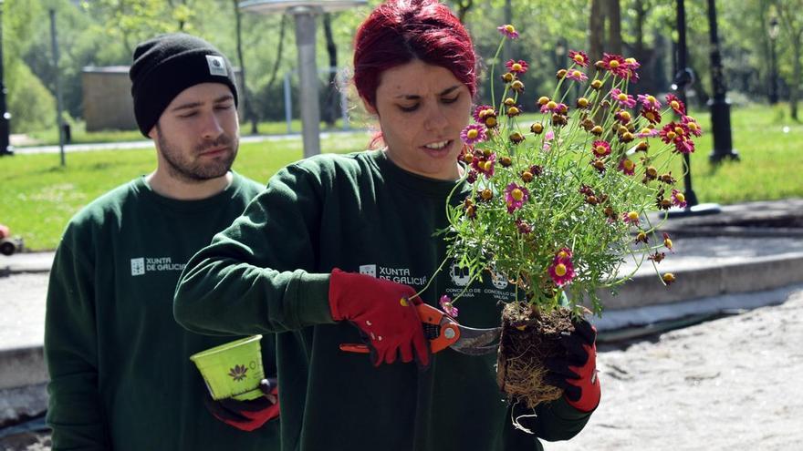 Los jóvenes también quieren ser jardineros