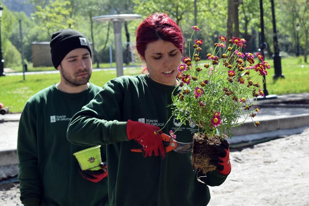 Alumnos del &quot;Obradoiro de Emprego Xóvenes&quot; durante la reforma y ajardinamiento del Parque Irmáns Dios Mosquera, en Valga.