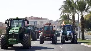 Los agricultores murcianos miran a Madrid tras la buena ‘resaca’ del 21F